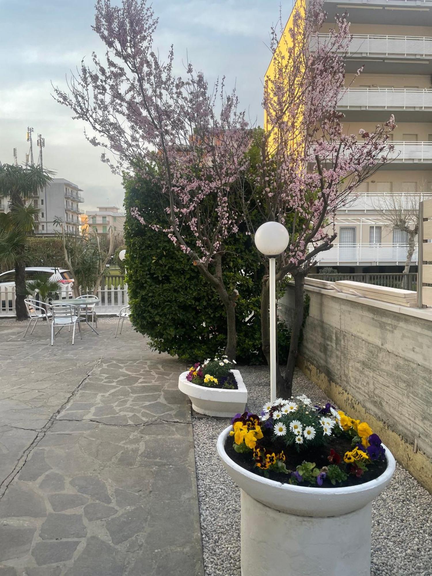 Nuovo Hotel Anthisa Лидо ди Савио Екстериор снимка
